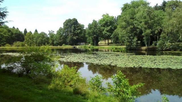 THOURON - Etang 1ha avec terrain à bâtir, chalet et parc 5 ha. THOURON - Etang 1ha avec terrain à bâtir, chalet et parc 5 ha.